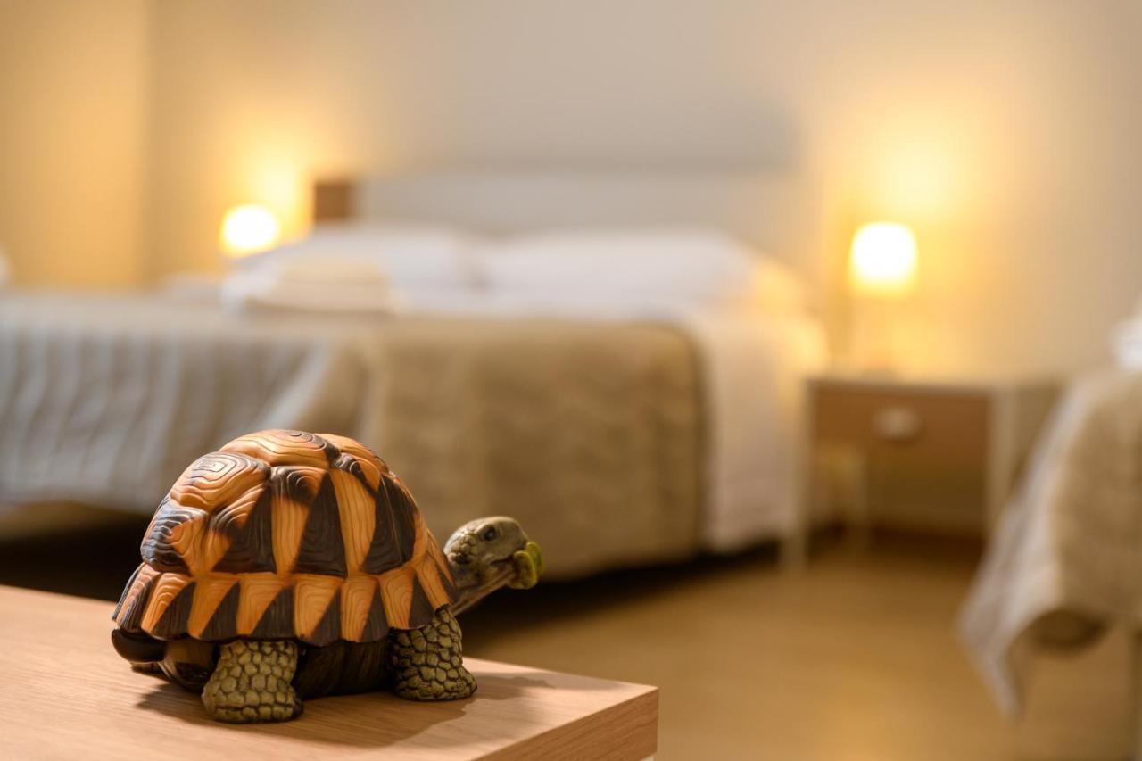 Bee Happy - Bed And Breakfast Zafferana Etnea Exterior photo